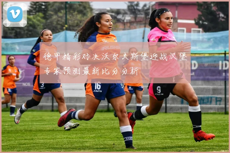 德甲精彩对决沃尔夫斯堡迎战汉堡专家预测最新比分分析