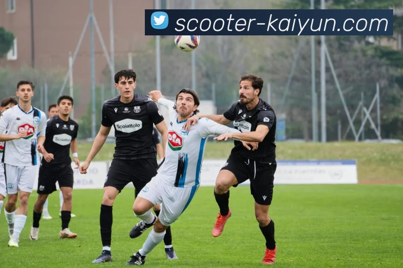 开云官网APP 体育赛事宣传图